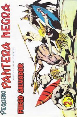 Pantera Negra / Pequeño Pantera Negra #284