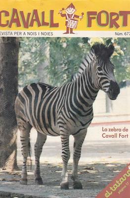 Cavall Fort #677