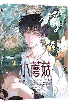 小蘑菇 Wrong But Still Right (Little Mushroom) #1