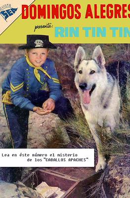 Domingos Alegres #248
