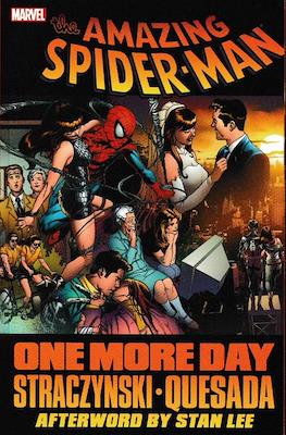The Amazing Spider-Man: One More Day