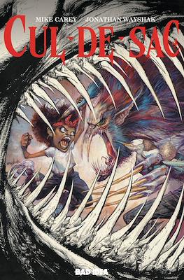 Cul-De-Sac #4