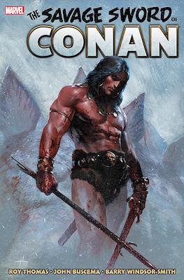 The Savage Sword of Conan: The Original Marvel Years Omnibus