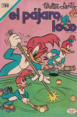 El pájaro loco #341