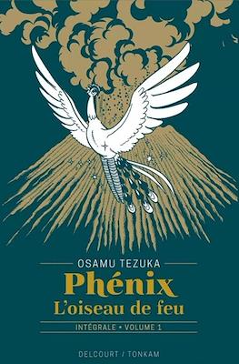 Phénix - L'oiseau de feu