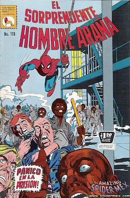 El Sorprendente Hombre Araña #118