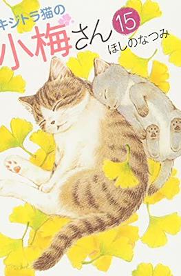 キジトラ猫の小梅さん 虎斑猫小梅 (Kijitora Neko no Koume-san) #15