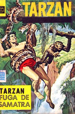 Tarzan #37