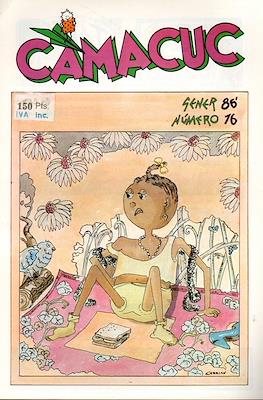 Camacuc #16