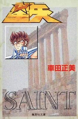Saint seiya folleto especial edición bunkoban
