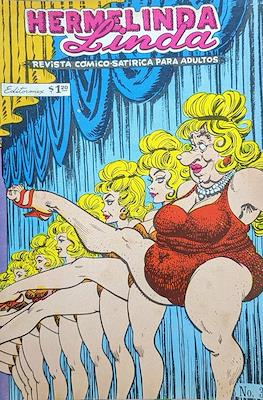 Brujerías / Hermelinda Linda (Grapa 36 pp) #372