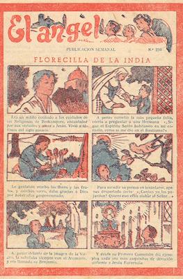El Ángel #230