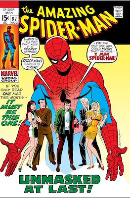 Spider-Man Komplett #100