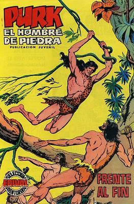 Purk, el hombre de piedra (1974) #33