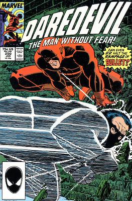 Daredevil Vol. 1 (1964-1998) (Comic Book) #250
