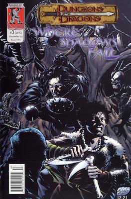Dungeons & Dragons: Where Shadows Fall #3
