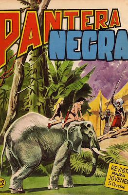 Pantera Negra #22