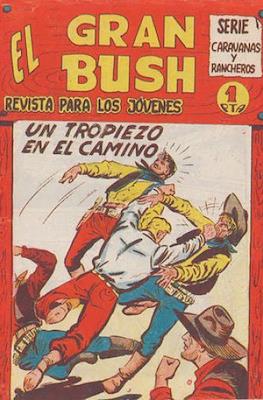 El gran Bush #34