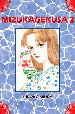 Mizukagekusa #2