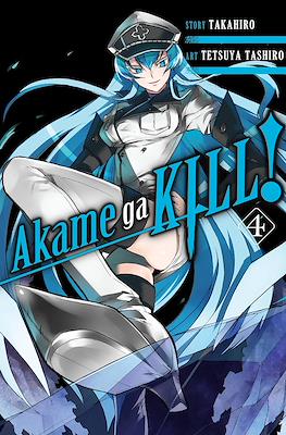 Akame ga Kill! #4