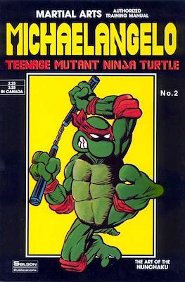 Teenage Mutant Ninja Turtles Teach Karate #2