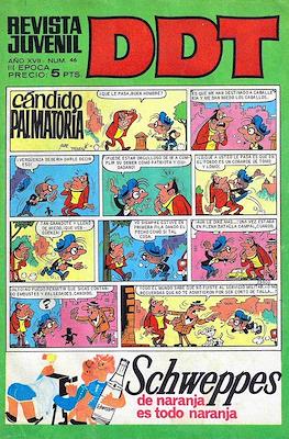 DDT 3ª época #46