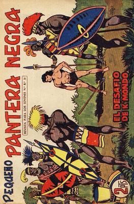 Pantera Negra / Pequeño Pantera Negra #213