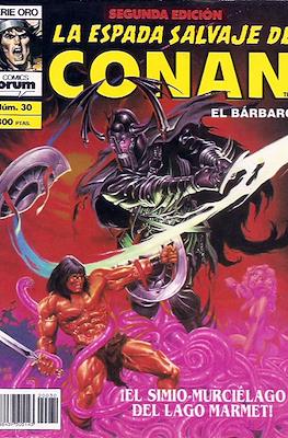 La Espada Salvaje de Conan Vol. 1. 2ª edición (Grapa. 64 páginas) #30