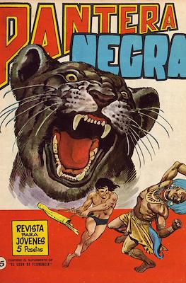 Pantera Negra #15