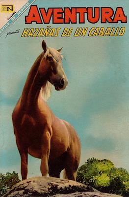 Aventura #527