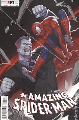 The Amazing Spider-Man Vol. 6 (2022-Variant Covers) (Comic Book 28-92 pp) #2.2