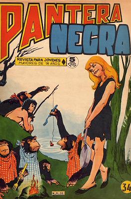 Pantera Negra #34