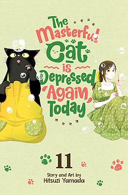 The Masterful Cat is Depressed Again Today #11