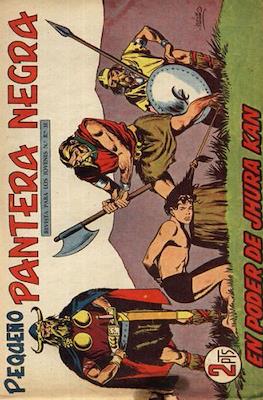 Pantera Negra / Pequeño Pantera Negra #227