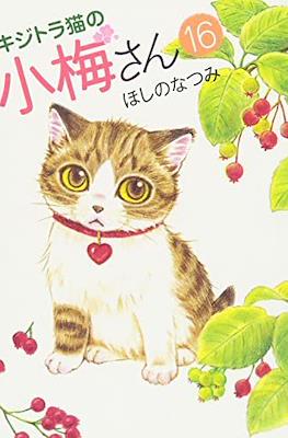 キジトラ猫の小梅さん 虎斑猫小梅 (Kijitora Neko no Koume-san) #16
