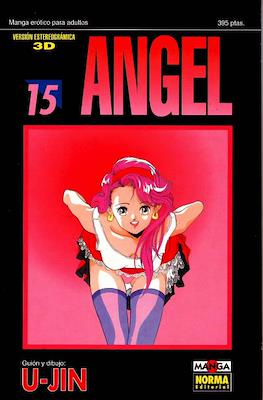 Angel (Rústica) #15