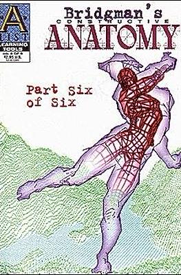 Bridgman's Constructive Anatomy #6