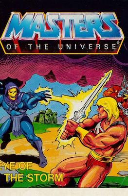 Masters of the Universe #45