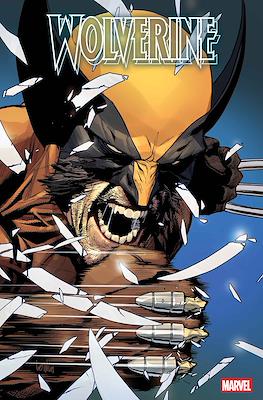 Wolverine Vol. 8 (2024-Variant Cover) #22
