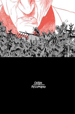 Cardo Decumano #2