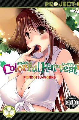 Colorful Harvest