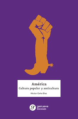 América. Cultura popular y anticultura (Rústica 460 pp)