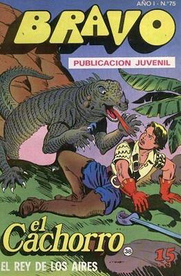 Bravo (El Cachorro e Inspector Dan) #75
