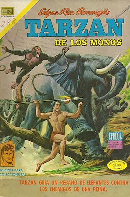 Tarzán de los monos (Grapa) #24