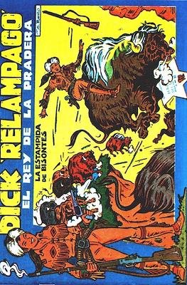 Dick "Relámpago" (Grapa) #24