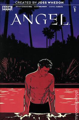 Angel Vol 4 #1 Cover F 2nd Ptg Variant Boris Pelcer Cover (Comic Book) #1.3