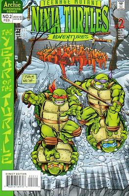 Teenage Mutant Ninja Turtles Adventures: The Year of the Turtle #2