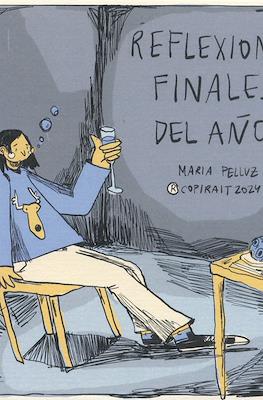Reflexiones finales del año