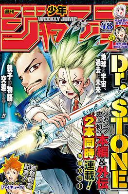 Weekly Shonen Jump 2019 #48