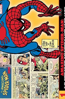 Amazing Spider-Man: Le Strisce Quotidiane